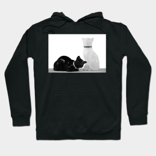 Yin and Yang Hoodie